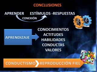CONCLUSIONES
 