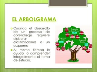 EL ARBOLGRAMA
 Cuando

el desarrollo
de un proceso de
aprendizaje requiere
elaborar
clasificaciones o un
esquema
 Al mismo tiempo le
ayuda a comprender
integralmente el tema
de estudio.

 