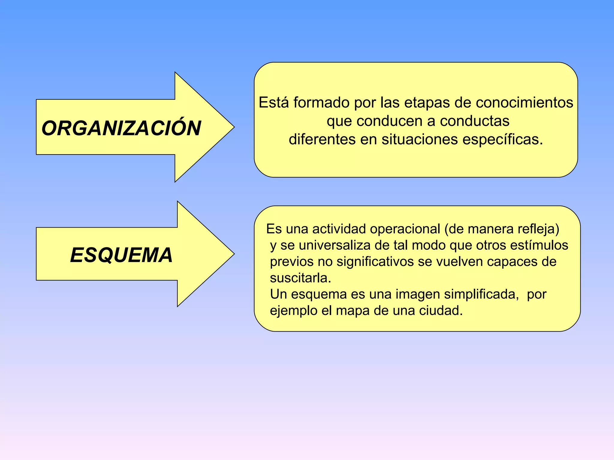 ORGANIZACIÓN Está formado por las etapas de conocimientos que conducen a conductas diferentes en situaciones específicas. ESQUEMA Es una actividad operacional (de manera refleja) y se universaliza de tal modo que otros estímulos previos no significativos se vuelven capaces de suscitarla. Un esquema es una imagen simplificada,  por ejemplo el mapa de una ciudad. 