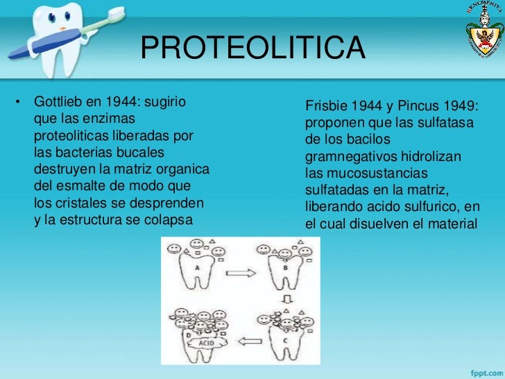 Tipos De Caries Dental Tipos De Caries Dental