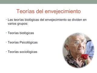 Teorías del envejecimiento
• Las teorías biológicas del envejecimiento se dividen en
 varios grupos:

• Teorías biológicas


• Teorías Psicológicas


• Teorías sociológicas
 