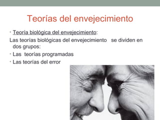Teorías del envejecimiento
• Teoría biológica del envejecimiento:
Las teorías biológicas del envejecimiento se dividen en
  dos grupos:
• Las teorías programadas
• Las teorías del error
 