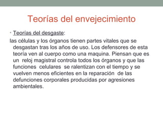 Teorías del envejecimiento
• Teorías del desgaste:
las células y los órganos tienen partes vitales que se
  desgastan tras los años de uso. Los defensores de esta
  teoría ven al cuerpo como una maquina. Piensan que es
  un reloj magistral controla todos los órganos y que las
  funciones celulares se ralentizan con el tiempo y se
  vuelven menos eficientes en la reparación de las
  defunciones corporales producidas por agresiones
  ambientales.
 