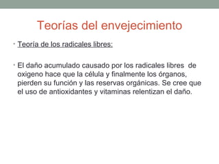 Teorías del envejecimiento
• Teoría de los radicales libres:


• El daño acumulado causado por los radicales libres de
 oxigeno hace que la célula y finalmente los órganos,
 pierden su función y las reservas orgánicas. Se cree que
 el uso de antioxidantes y vitaminas relentizan el daño.
 