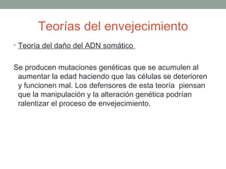 Teorías del envejecimiento
• Teoría del daño del ADN somático


Se producen mutaciones genéticas que se acumulen al
 aumentar la edad haciendo que las células se deterioren
 y funcionen mal. Los defensores de esta teoría piensan
 que la manipulación y la alteración genética podrían
 ralentizar el proceso de envejecimiento.
 