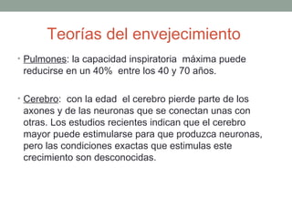Teorías del envejecimiento
• Pulmones: la capacidad inspiratoria máxima puede
 reducirse en un 40% entre los 40 y 70 años.

• Cerebro: con la edad el cerebro pierde parte de los
 axones y de las neuronas que se conectan unas con
 otras. Los estudios recientes indican que el cerebro
 mayor puede estimularse para que produzca neuronas,
 pero las condiciones exactas que estimulas este
 crecimiento son desconocidas.
 