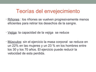 Teorías del envejecimiento
• Riñones : los riñones se vuelven progresivamente menos
 eficientes para retirar los desechos de la sangre.

• Vejiga: la capacidad de la vejiga se reduce


• Músculos: sin el ejercicio la masa corporal se reduce en
 un 22% en las mujeres y un 23 % en los hombres entre
 los 30 y los 70 años. El ejercicio puede reducir la
 velocidad de esta perdida.
 