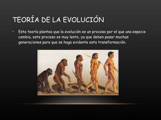 TEORÍA DE LA EVOLUCIÓN Esta teoría plantea que la evolución es un proceso por el que una especie cambia, este proceso es muy lento, ya que deben pasar muchas generaciones para que se haga evidente esta transformación. www.atinachile.cl/.../Evolucion-del-hombre.html   