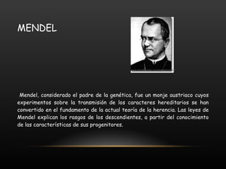 MENDEL Mendel, considerado el padre de la genética, fue un monje austriaco cuyos experimentos sobre la transmisión de los caracteres hereditarios se han convertido en el fundamento de la actual teoría de la herencia. Las leyes de Mendel explican los rasgos de los descendientes, a partir del conocimiento de las características de sus progenitores.  www.actuallynotes.com/images/mendel.jpg 
