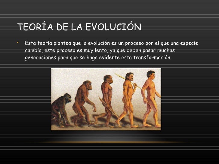 Teorías del origen del hombre
