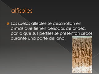    Los suelos alfisoles se desarrollan en
    climas que tienen periodos de aridez,
    por lo que sus perfiles se presentan secos
    durante una parte del año.
 