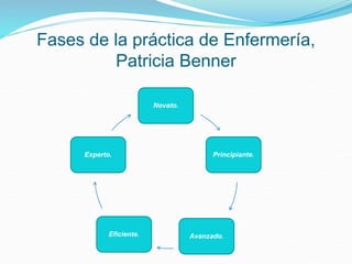 Fases de la práctica de Enfermería,
Patricia Benner
Novato.
Principiante.
Avanzado.
Eficiente.
Experto.
 