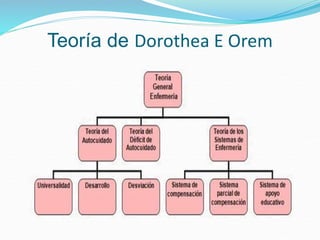 Teoría de Dorothea E Orem
 