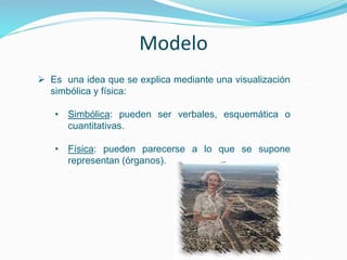 Modelo
 Es una idea que se explica mediante una visualización
simbólica y física:
• Simbólica: pueden ser verbales, esquemática o
cuantitativas.
• Física: pueden parecerse a lo que se supone
representan (órganos).
 
