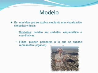 Modelo
 Es una idea que se explica mediante una visualización
simbólica y física:
• Simbólica: pueden ser verbales, esquemática o
cuantitativas.
• Física: pueden parecerse a lo que se supone
representan (órganos).
 