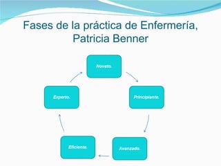 Fases de la práctica de Enfermería, Patricia Benner 