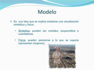 Modelo <ul><li>Es  una idea que se explica mediante una visualización simbólica y física: </li></ul><ul><ul><li>Simbólica ...