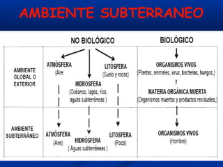 AMBIENTE SUBTERRANEO
 