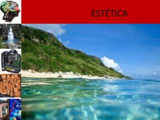 ESTÉTICA
 