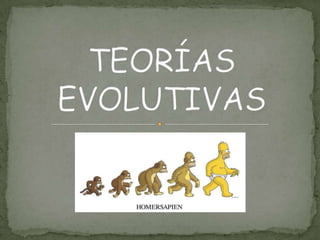TEORÍAS EVOLUTIVAS 