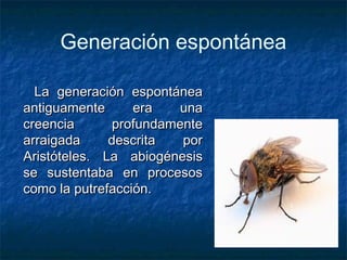 Generación espontánea 
LLaa ggeenneerraacciióónn eessppoonnttáánneeaa 
aannttiigguuaammeennttee eerraa uunnaa 
ccrreeeenncciiaa pprrooffuunnddaammeennttee 
aarrrraaiiggaaddaa ddeessccrriittaa ppoorr 
AArriissttóótteelleess.. LLaa aabbiiooggéénneessiiss 
ssee ssuusstteennttaabbaa eenn pprroocceessooss 
ccoommoo llaa ppuuttrreeffaacccciióónn.. 
 