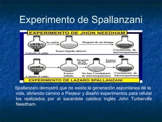 Experimento de Spallanzani 
Spallanzani demostró que no existe la generación espontánea de la 
vida, abriendo camino a Pasteur y diseñó experimentos para refutar 
los realizados por el sacerdote católico inglés John Turberville 
Needham. 
 