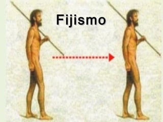 FFiijjiissmmoo 
 