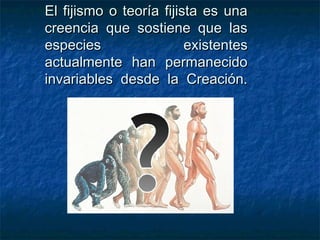 El fijismo oo tteeoorrííaa ffiijjiissttaa eess uunnaa 
ccrreeeenncciiaa qquuee ssoossttiieennee qquuee llaass 
eessppeecciieess eexxiisstteenntteess 
aaccttuuaallmmeennttee hhaann ppeerrmmaanneecciiddoo 
iinnvvaarriiaabblleess ddeessddee llaa CCrreeaacciióónn.. 
 