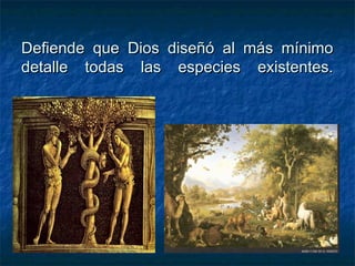 Defiende que DDiiooss ddiisseeññóó aall mmááss mmíínniimmoo 
ddeettaallllee ttooddaass llaass eessppeecciieess eexxiisstteenntteess.. 
 