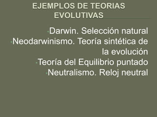 •Darwin.

Selección natural
•Neodarwinismo. Teoría sintética de
la evolución
•Teoría del Equilibrio puntado
•Neutralismo. ...