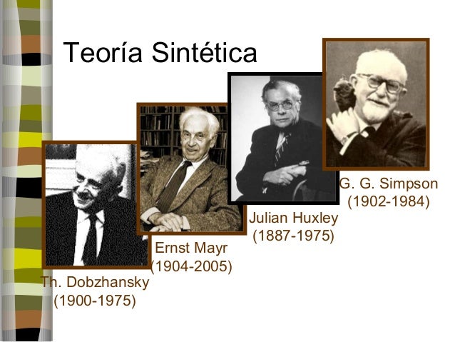 Teoría sintética