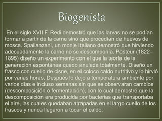 En el siglo XVII F. Redi demostró que las larvas no se podían 
formar a partir de la carne sino que procedían de huevos de 
mosca. Spallanzani, un monje Italiano demostró que hirviendo 
adecuadamente la carne no se descomponía. Pasteur (1822– 
1895) diseño un experimento con el que la teoría de la 
generación espontánea quedo anulada totalmente. Diseño un 
frasco con cuello de cisne, en el coloco caldo nutritivo y lo hirvió 
por varias horas. Después lo dejo a temperatura ambiente por 
varios días e incluso semanas sin que se observaran cambios 
(descomposición o fermentación), con lo cual demostró que la 
descomposición era producida por bacterias que transportaba 
el aire, las cuales quedaban atrapadas en el largo cuello de los 
frascos y nunca llegaron a tocar el caldo. 
 