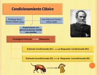 Condicionamiento Clásico
Experimento con
perros al asociar sonido
con comida
Paradigma Estímulo Respuesta
Estímulo Condicionado (EC) Respuesta Condicionada (RC)
Estímulo Incondicionado (EI) Respuesta Incondicionada (RI)
Fisiólogo Ruso:
Premio Nobel (1904)
Iván Petrovich Pavlov
(1849-1936)
 
