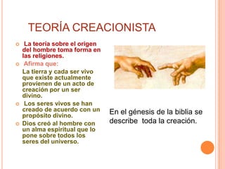 TEORÍA CREACIONISTA La teoría sobre el origen del hombre toma forma en las religiones.Afirma que:    La tierra y cada ser vivo que existe actualmente provienen de un acto de creación por un ser divino. Los seres vivos se han creado de acuerdo con un propósito divino.Dios creó al hombre con un alma espiritual que lo pone sobre todos los seres del universo.En el génesis de la biblia se describe  toda la creación.