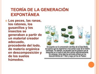 TEORÍA DE LA GENERACIÓN EXPONTÁNEALos peces, las ranas, los ratones, los gusanillos y los insectos se generaban a partir de un material creador adecuado, procedente del lodo, de materia orgánica en descomposición y de los suelos húmedos.