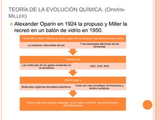 TEORÍA DE LA EVOLUCIÓN QUÍMICA. (Oparín- Miller) Alexander Oparinen 1924 la propuso y Miller la recreó en un balón de vidrio en 1950.