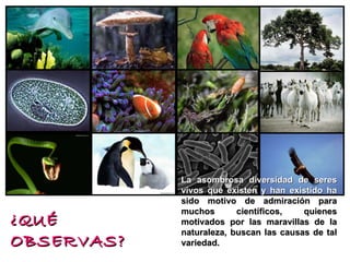 ¿QUÉ OBSERVAS? La asombrosa diversidad de seres vivos que existen y han existido ha  sido motivo de admiración para muchos científicos, quienes motivados por las maravillas de la naturaleza, buscan las causas de tal variedad. 