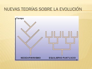 NUEVAS TEORÍAS SOBRE LA EVOLUCIÓN
 