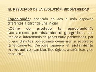  Especiación: Aparición de dos o más especies
diferentes a partir de una inicial.
 ¿Cómo se produce la especiación?:
Normalmente por aislamiento geográfico, que
impide el intercambio de genes entre poblaciones, por
lo que distintas poblaciones comienzan a separarse
genéticamente. Después aparece el aislamiento
reproductivo (cambios fisiológicos, anatómicos y de
conducta).
 