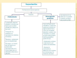 Teorías sobre el Origen de la Diversidad 
