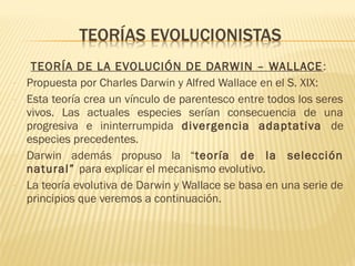 TEORÍA DE LA EVOLUCIÓN DE DARWIN – WALLACE:
- Propuesta por Charles Darwin y Alfred Wallace en el S. XIX:
- Esta teoría crea un vínculo de parentesco entre todos los seres
vivos. Las actuales especies serían consecuencia de una
progresiva e ininterrumpida divergencia adaptativa de
especies precedentes.
- Darwin además propuso la “teoría de la selección
natural” para explicar el mecanismo evolutivo.
- La teoría evolutiva de Darwin y Wallace se basa en una serie de
principios que veremos a continuación.
 