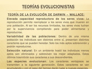 TEORÍA DE LA EVOLUCIÓN DE DARWIN – WALLACE:
- Elevada capacidad reproductora de los seres vivos: La
reproducción permite reemplazar a los seres vivos que mueren en
una población. Al ser los recursos limitados, los seres vivos luchan
por la supervivencia compitiendo para poder alimentarse y
reproducirse.
- Variabilidad de las poblaciones: Dentro de una misma
población los individuos son distintos entre sí, presentan distintos
caracteres que se pueden heredar. Solo los más aptos sobrevivirán y
podrán reproducirse.
- Selección natural: En un ambiente hostil los individuos menos
aptos son eliminados y sobreviven los mejor adaptados. Estos
últimos trasmitirán sus caracteres a sus descendientes.
- Las especies evolucionan: Los caracteres ventajosos se
transmiten a la siguiente generación. Estos caracteres se van
 