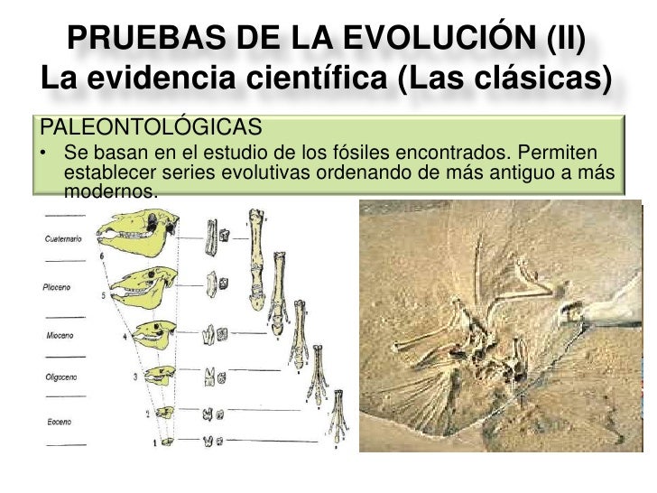 TeoríAs Y Pruebas
