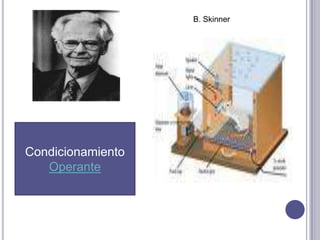 B. SkinnerCondicionamientoOperante