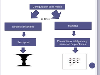 Configuración de la menteSe dan porMemoriacanales sensorialesPercepciónPensamiento, inteligencia y resolución de problemas