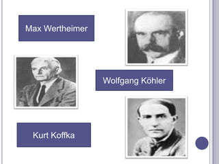 Max WertheimerWolfgangKöhlerKurtKoffka