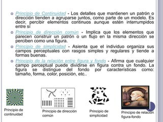 Principio de Continuidad - Los detalles que mantienen un patrón o dirección tienden a agruparse juntos, como parte de un modelo. Es decir, percibir elementos continuos aunque estén interrumpidos entre sí Principio de dirección común - Implica que los elementos que parecen construir un patrón o un flujo en la misma dirección se perciben como una figura. Principio de simplicidad - Asienta que el individuo organiza sus campos perceptuales con rasgos simples y regulares y tiende a formas buenas. Principio de la relación entre figura y fondo - Afirma que cualquier campo perceptual puede dividirse en figura contra un fondo. La figura se distingue del fondo por características como: tamaño, forma, color, posición, etc.. Principio de continuidadPrincipio de dirección común Principio de simplicidadPrincipio de relación figura-fondo