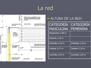 La red <ul><li>ALTURA DE LA RED: </li></ul>Cadetes 2,18 m Cadetes 2,37 m Juveniles 2,24 m Juveniles 2,43 m Infantiles 2,10...