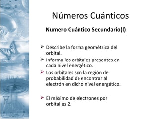 Números Cuánticos
Numero Cuántico Secundario(l)
 Describe la forma geométrica del
orbital.
 Informa los orbitales presentes en
cada nivel energético.
 Los orbitales son la región de
probabilidad de encontrar al
electrón en dicho nivel energético.
 El máximo de electrones por
orbital es 2.
 