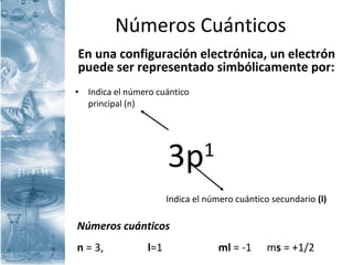 Números Cuánticos
En una configuración electrónica, un electrón
puede ser representado simbólicamente por:
• Indica el número cuántico
principal (n)
3p1
Indica el número cuántico secundario (l)
Números cuánticos
n = 3, l=1 ml = -1 ms = +1/2
 